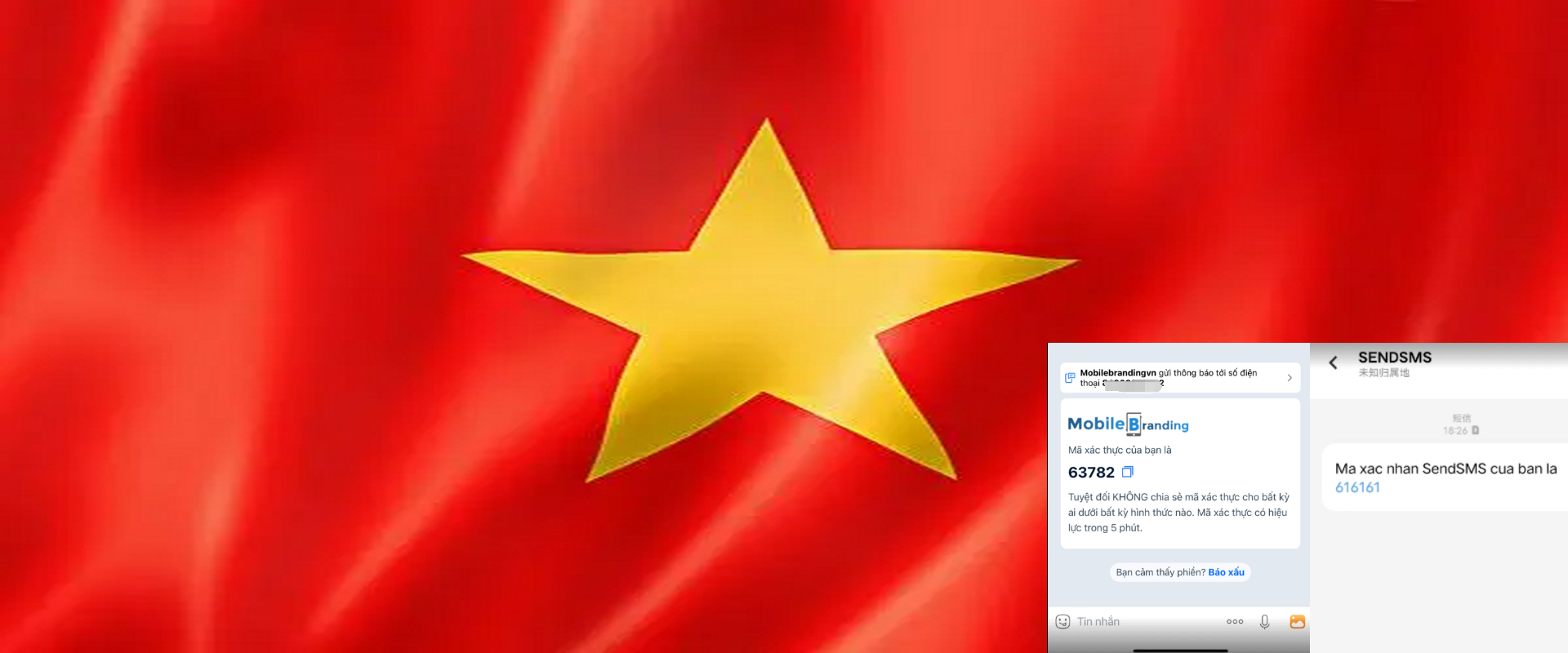 Vietnam Bulk SMS，Mã xác minh Việt Nam SMS